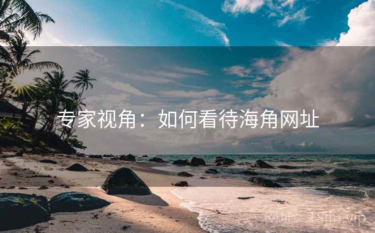 专家视角:如何看待海角网址