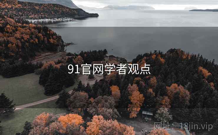 91官网学者观点