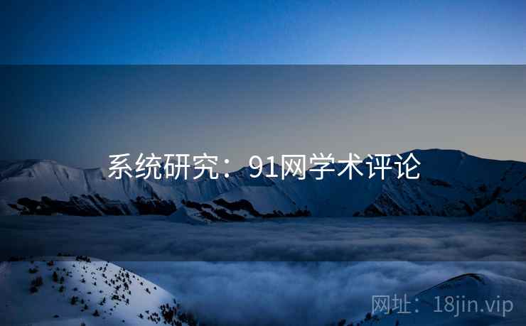 系统研究:91网学术评论