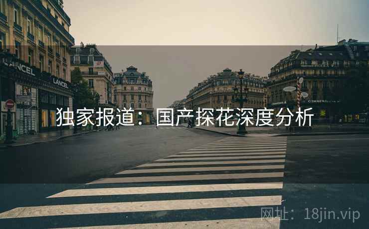 独家报道:国产探花深度分析
