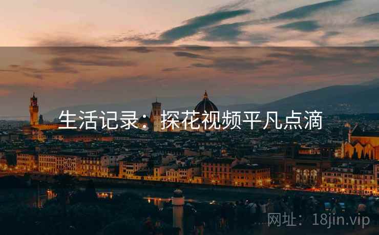 生活记录:探花视频平凡点滴