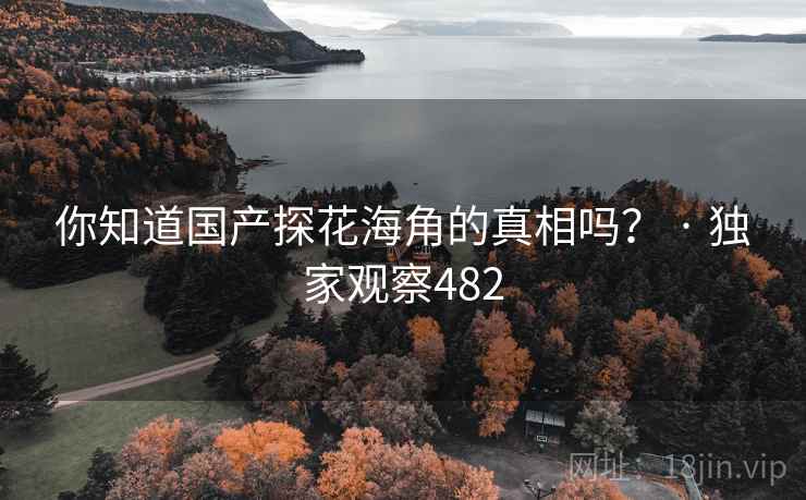 你知道国产探花海角的真相吗？ · 独家观察482
