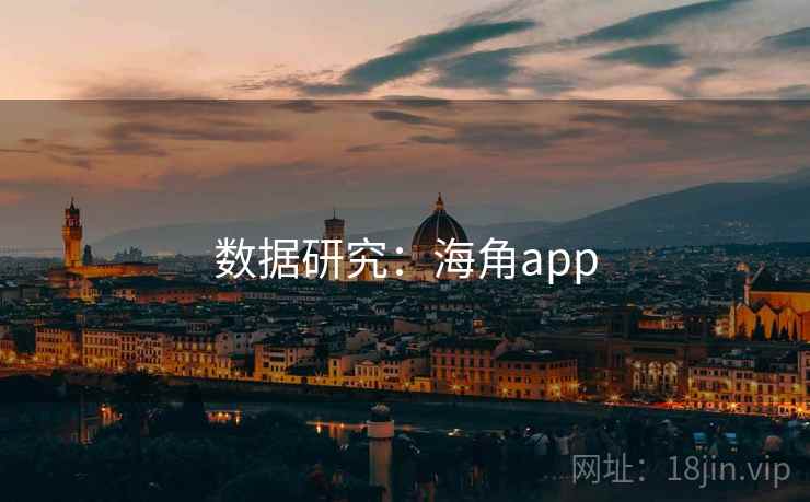 数据研究：海角app