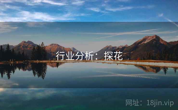 行业分析：探花