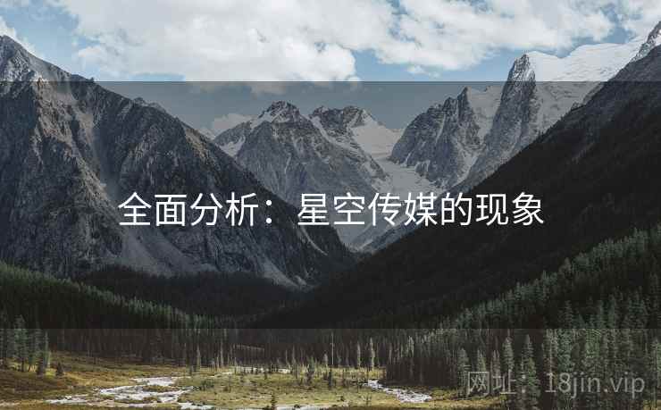 全面分析：星空传媒的现象