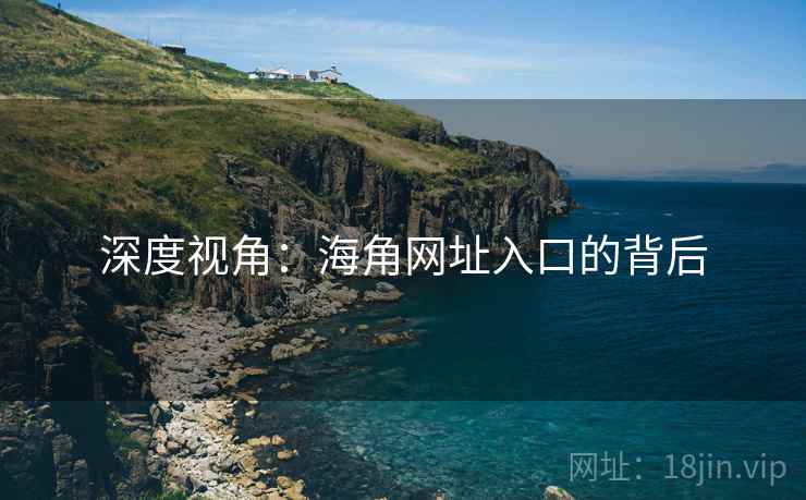 深度视角：海角网址入口的背后