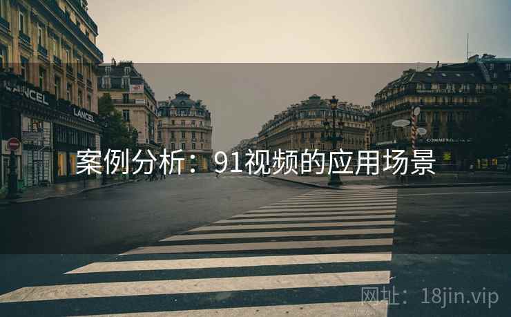 案例分析：91视频的应用场景