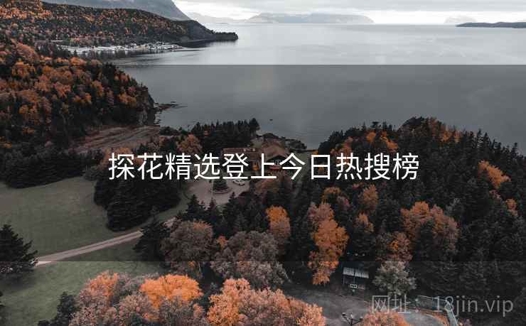 探花精选登上今日热搜榜
