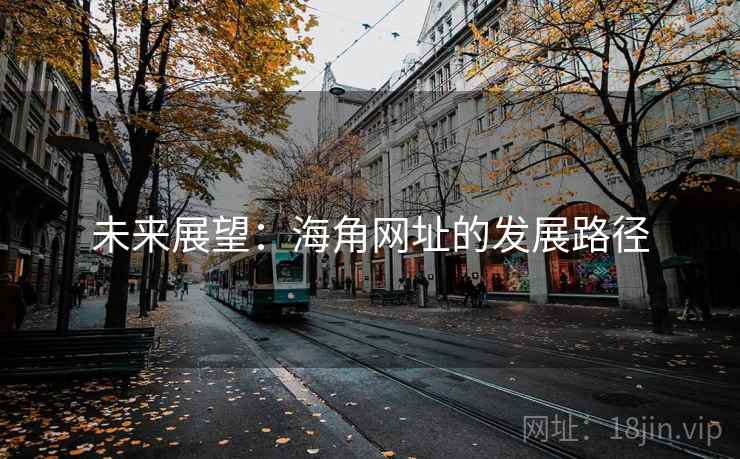 未来展望:海角网址的发展路径