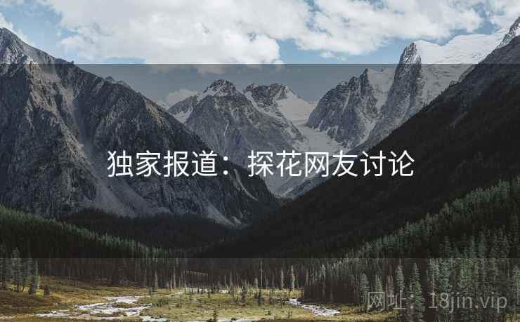 独家报道：探花网友讨论