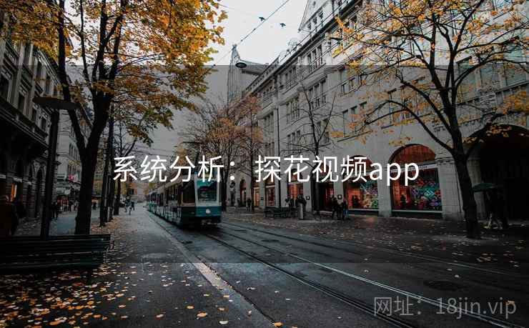 系统分析：探花视频app